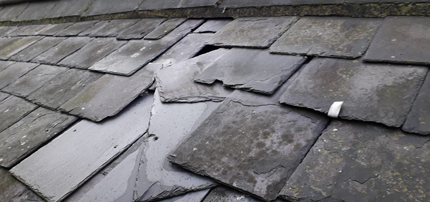 Does My Roof Need Replacing or Repairing?