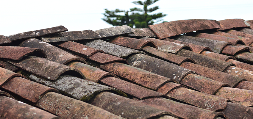 Questions You Should Definitely Ask Any Roofing Company